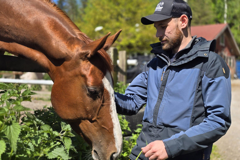 赫尔辛基：驯鹿公园与马厩私人游赫尔辛基：驯鹿公园与马厩私人导览游