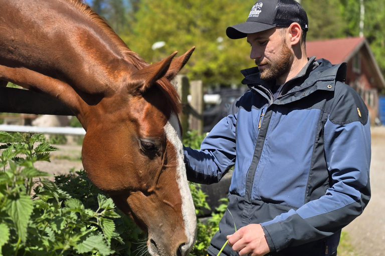 赫尔辛基：驯鹿公园与马厩私人游赫尔辛基：驯鹿公园与马厩私人导览游