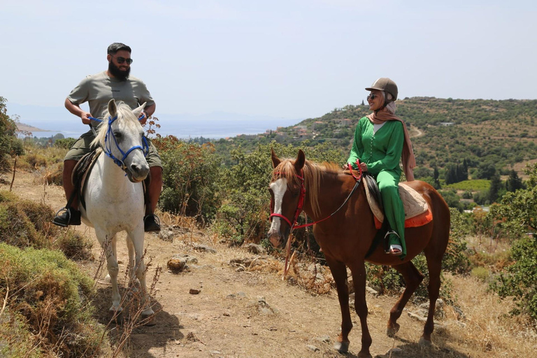 Bodrum: Horseback Riding Adventure with Hotel Pickup 2-Hour Forest & Beach Horse Riding with Transfers