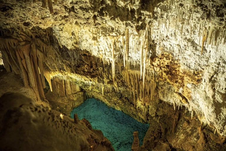 Alcudia: Halve dagtrip naar Dinosaurland en Hams' Caves