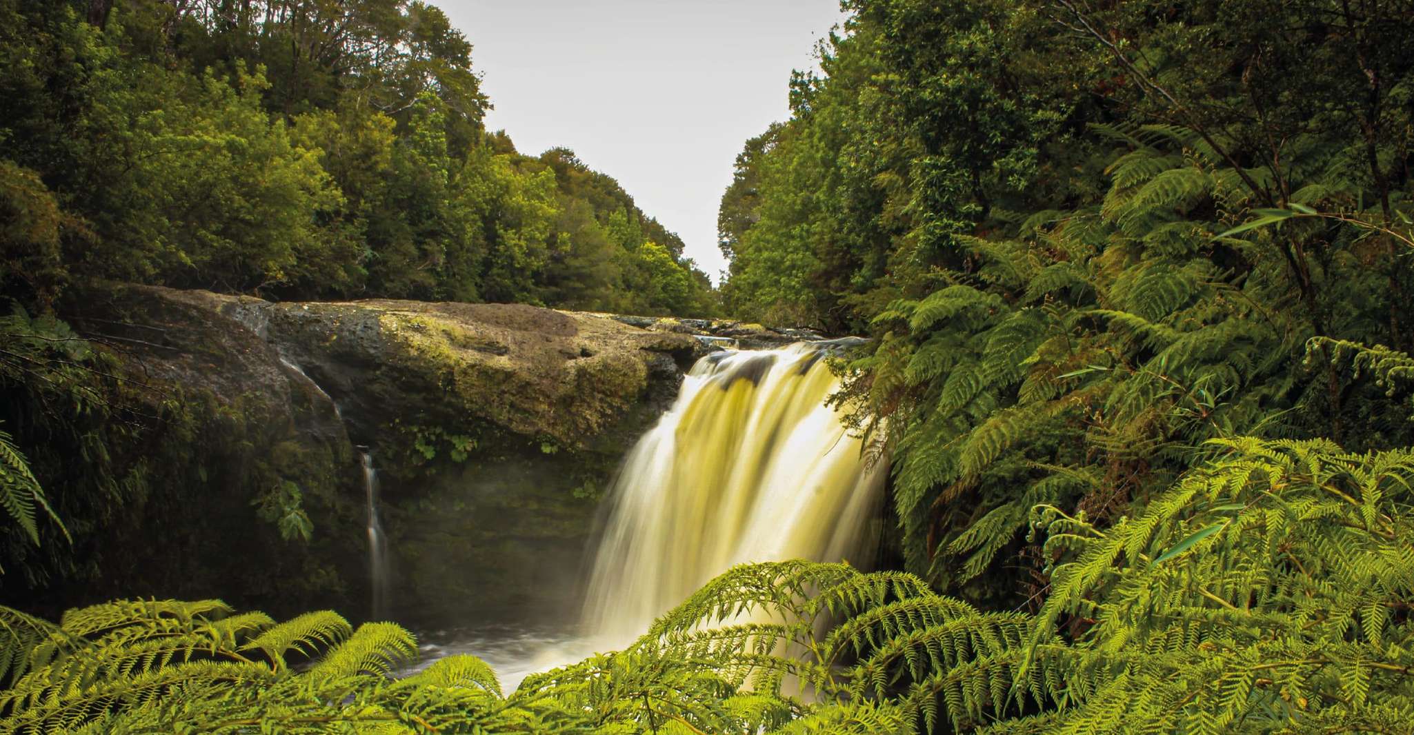 Tepuhueico Park, Introduce yourself to Chiloé.