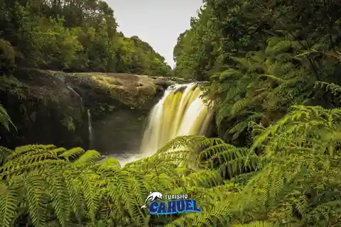 Tepuhueico Park: Introduce yourself to Chiloé.