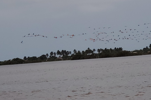 Santa Marta - Parc naturel national Los Flamingos