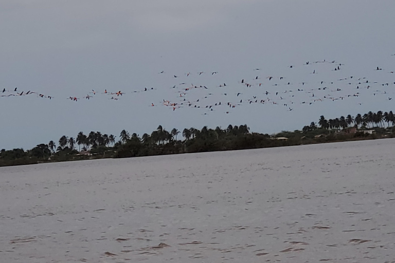 Santa Marta - Parc naturel national Los Flamingos
