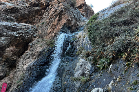 Desde Marrakech: montañas del Atlas, valle de Ourika y paseo en camello