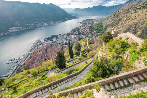 Kotor: City Walls Entry Ticket