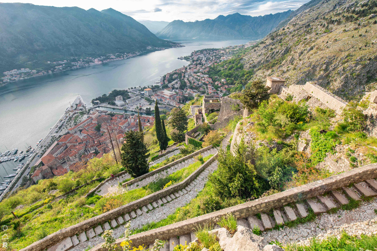 Kotor: City Walls Entry Ticket
