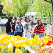 From Sydney: Canberra City Highlights and Floriade Day Tour