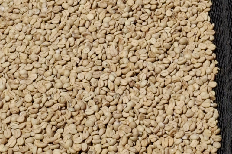 TOUR GIORNALIERO DELLA FATTORIA DEL CAFFÈ FAIRVIEW