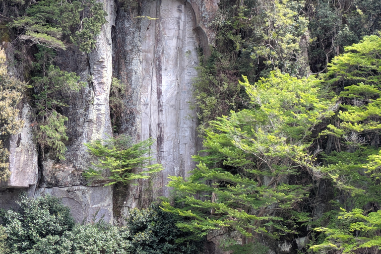From Osaka: Muroji Temple, Dragon Shrine & Art Forest Tour