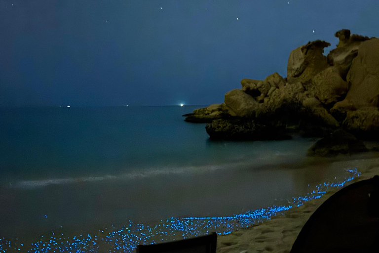 Muscat: Overnight Beach Camping with BBQ Dinner