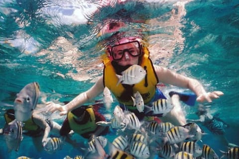 Bali: Nusa Dua Snorkeling Experience with Guide