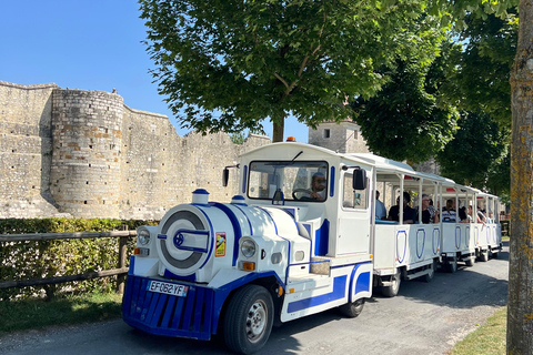 From Paris: Provins Medieval Town Day Trip
