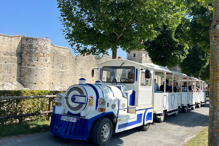 From Paris: Provins Medieval Town Day Trip