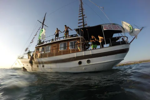 Half-Day Cruise
