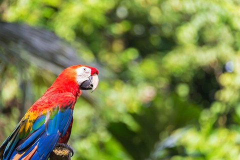 Amazonia: Aventura en las Comunidades Indígenas de Iquitos