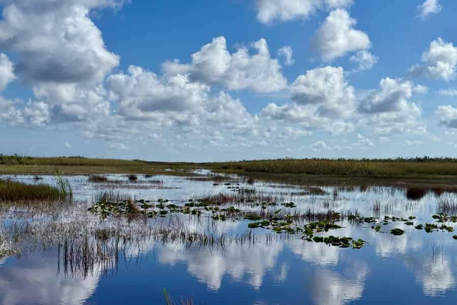 Everglades: Airboat-Tour in kleiner Gruppe mit lizenziertem Transfer. Foto: GetYourGuide