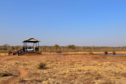 Victoria Falls: Sunset Cruise with 2 Shearwater Activities