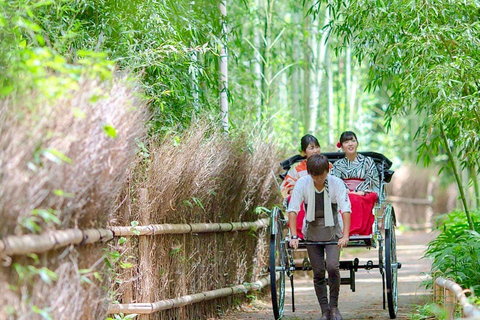 Kyoto/Osaka : Visite guidée privée et personnalisée de Kyoto et Nara