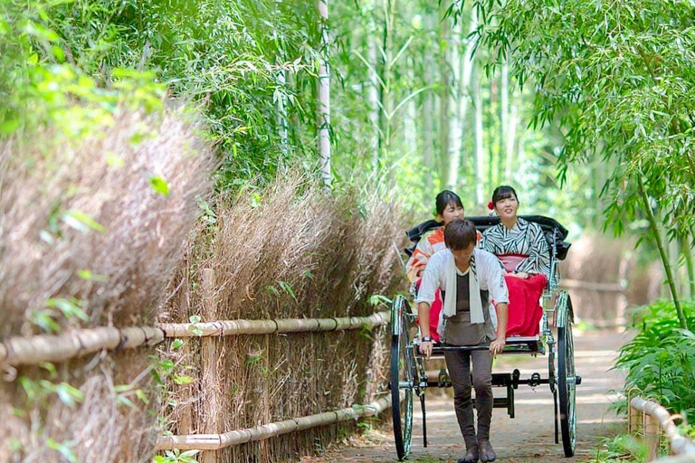 Kyoto/Osaka : Visite guidée privée et personnalisée de Kyoto et Nara