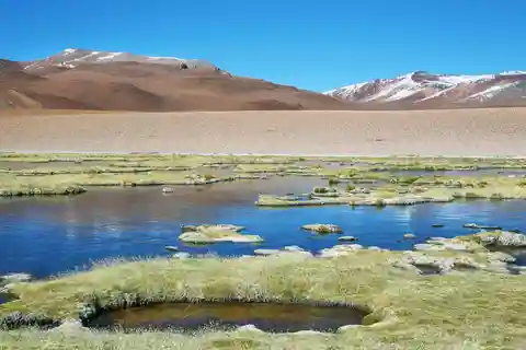 Ruta de los Salares - Guided Tour : San Pedro de Atacama - Chile