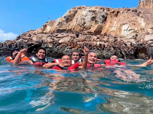 Palomino Islands speedboat excursion & Swim with sea lions