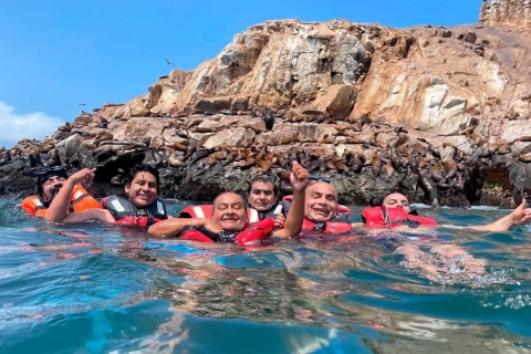 Wycieczka łodzią motorową na wyspy Palomino i pływanie z lwami morskimi
