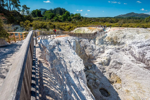 Rotorua: Wai-O-Tapu, secuoyas y lugar secreto en una excursión de un día