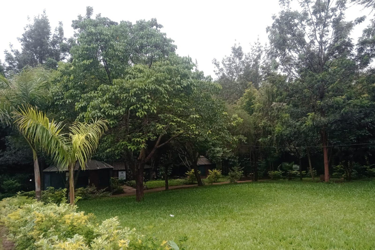Nairobi: Michuki Park & National Museum Tour with Pickup