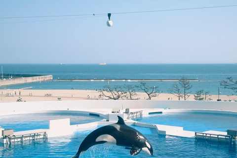 Nagoya: Port of Nagoya Public Aquarium Admission Ticket