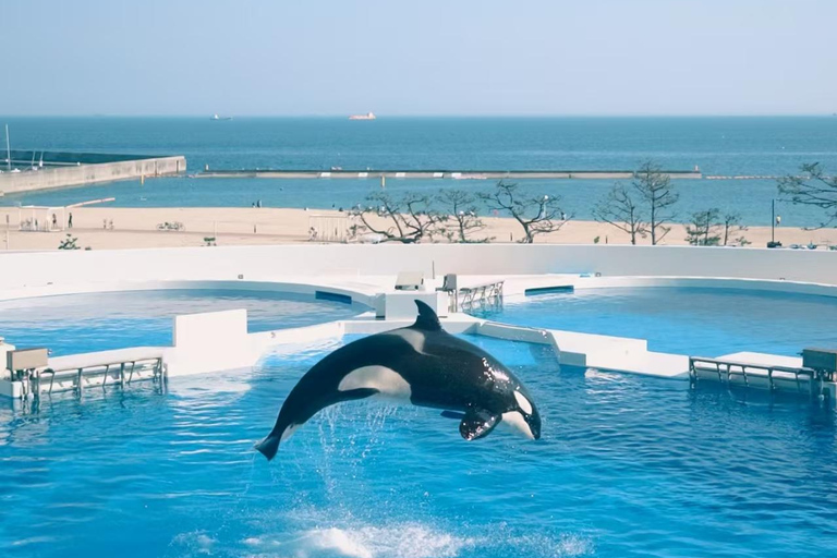 Nagoya: Port of Nagoya Public Aquarium Admission Ticket