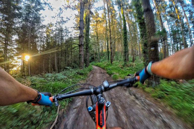 San Sebastián: Exploración del País Vasco en bicicleta de montaña