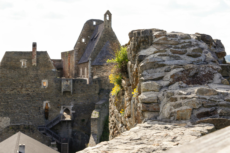 Aggstein Castle Ruins: Admission to the medieval castle complex