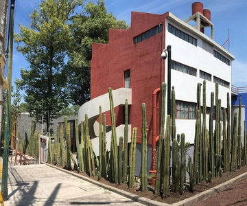 Ciudad de México: Visita a la Casa Estudio Frida Kahlo-Diego Rivera