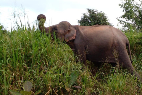 Excursie naar Hurulu Eco Park