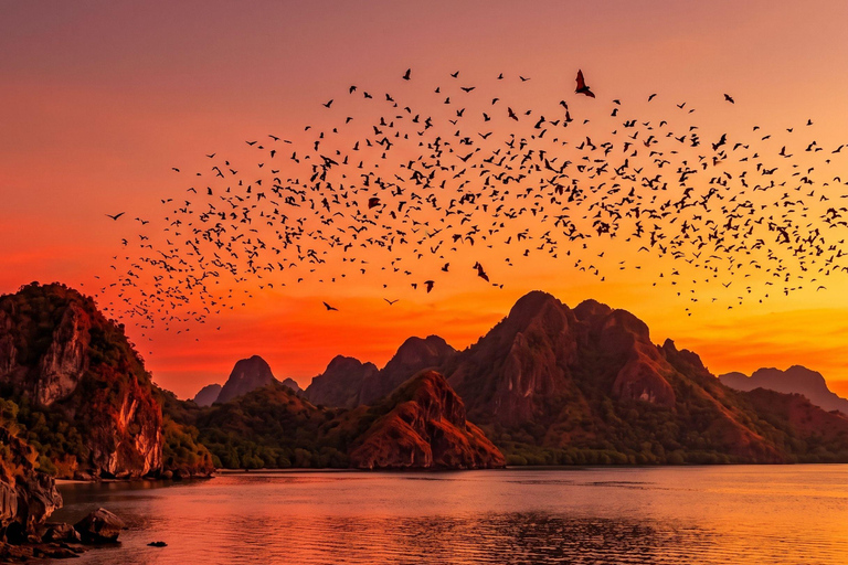 Labuan Bajo: Luxury Sunset Speedboat, Small Group + Snorkel Luxury Sunset Speedboat Tour : Direct Reporting