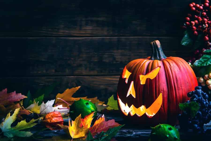 Halloween für Kinder in Köln mit Geisterüberraschung. Foto: GetYourGuide Halloween für Kinder in Köln mit Geisterüberraschung. Foto: GetYourGuide