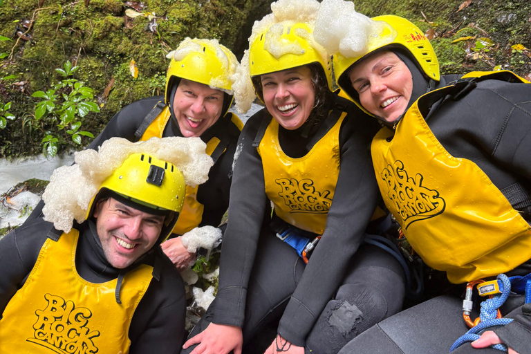 Christchurch: Tui Canyon Half-Day Canyoning Adventure