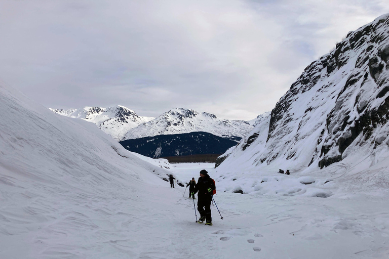 Guided Snowshoeing Adventure from Seward, Alaska 6-Hour Tour