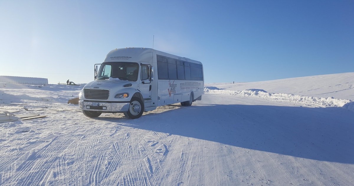 Yellowknife City Tour GetYourGuide