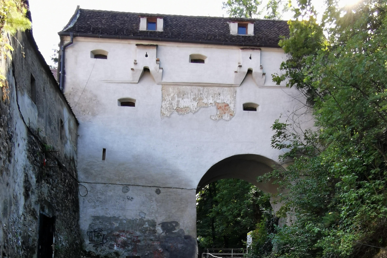Bucharest: Dracula's Castle, Brasov & Peles Castle Day Trip