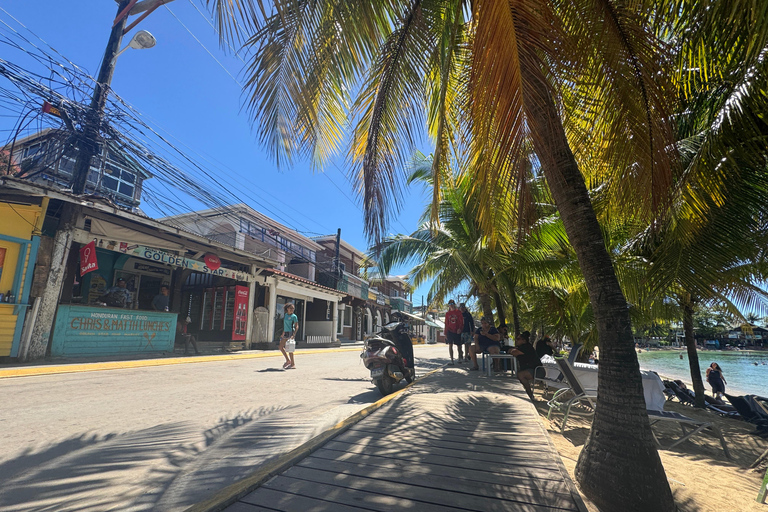 Roatán: West End, Chocolate & Island Highlights Tour