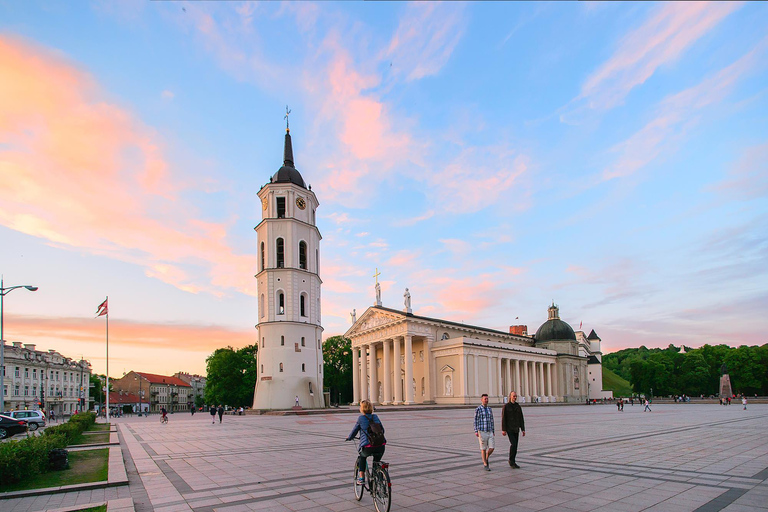 Vilnius: Express Walk med en lokalinvånare på 60 minuterVilnius: Express Walk with a Local på 60 minuter