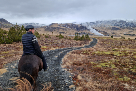 Paardrijtocht in Reykjadalur (Hotspring Vallei)