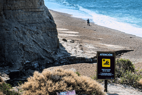 El Calafate: Monte León 4x4 Wolves and Penguins Excursion