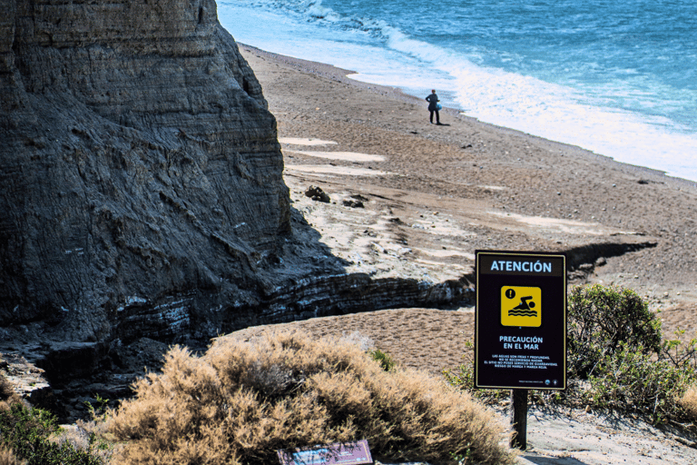 El Calafate: Monte León 4x4 Wolves and Penguins Excursion