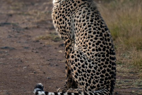 Pilanesberg Budget Safari3-Daagse Bakgatla