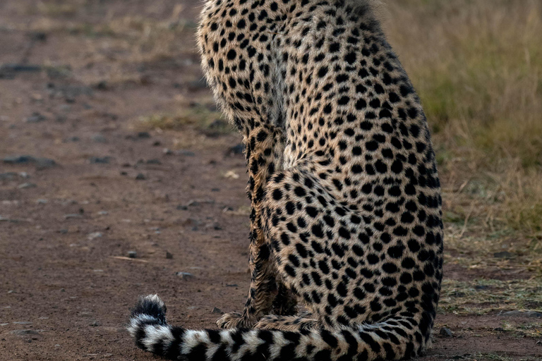 Pilanesberg Budget Safari3-Tage-Sonnenuntergang