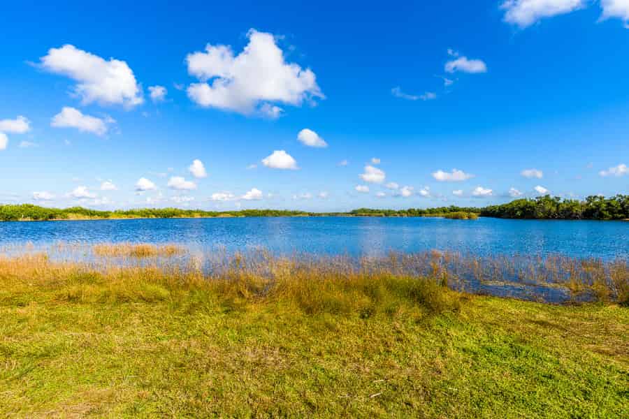 Everglades & Big Cypress Self Guided Driving Tour Bundle. Foto: GetYourGuide