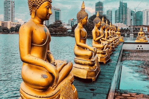 6-Day Sri Lanka Tour: Pinnawala, Kandy & Gem Capital All-Inclusive Package with 3-Star Hotels